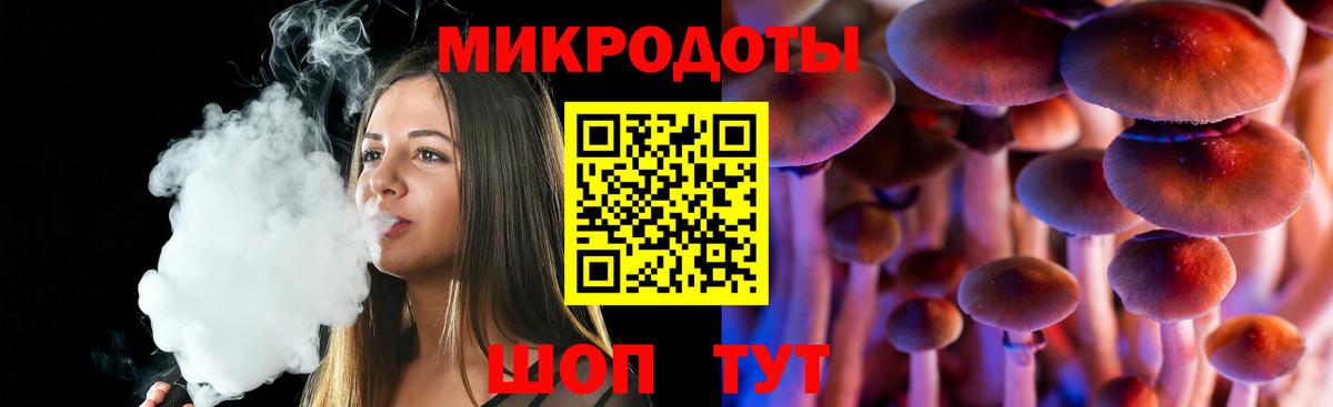 Псилоцибиновые грибы прущие грибы Великий Новгород